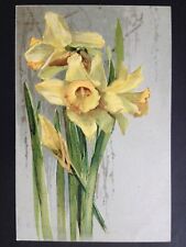 CPA Signed Illustration Embossed Flowers WILD DAFFODILS Wild daffodils Flowers picture