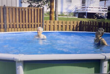 Vintage Photo Slide 1979 Woman Man Pool picture