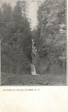 Vintage Postcard 1900's Minekill Falls Waterfalls Mountains Gilboa New York NY picture