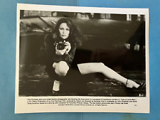 Faye Dunaway ,  original vintage press  headshot photo picture