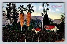 CA-California, An Orange Ranch, Antique, Vintage Postcard picture