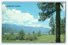 c1950s Vallecito Lake, Water-Skiers and Boatmen Pine River Valley CO Postcard picture
