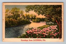 Lucinda PA-Pennsylvania, Scenic Greetings, River & Flowers, Vintage Postcard picture