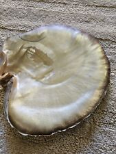 Large Vintage Clam Otster Shell Half Mother Of Pearl Purple Irridescent ... picture