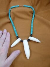 (G157-75) Seven Huge GATOR TOOTH Turquoise Necklace Alligator Aligator TEETH picture