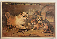 Victorian Trade Card Hood's Sarsaparilla for Catarrh Lowell MA   Dog & Puppies picture