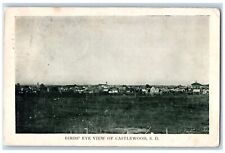 Castlewood South Dakota Postcard Birds Eye View Exterior c1909 Vintage Antique picture