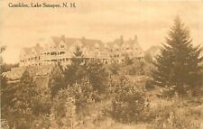 Postcard C-1910 New Hampshire Lake Sunapee Granliden Hotel occupation 24-5186 picture