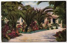 Vintage Home Palm Trees in Southern California CA Lithograph Unposted Postcard picture