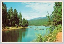 Bass Lake California, Scenic View Swimming Platform, Vintage Postcard picture