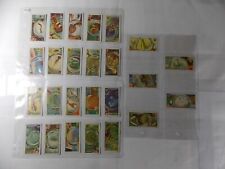 Typhoo Tea Cards Common Objects Highly Magnified 1925 Complete Set 25 in Pages picture