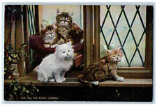 Postcard Can You See Them Coming Four Cats in Window c1910 Photochrome Tuck Cats picture