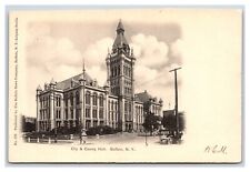 City and County Hall Buffalo New York NY UNP UDB Postcard V14 picture