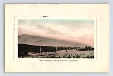 Postcard California Porterville CA Orange Grove 1912 Posted Divided Back picture