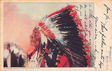 Chief Hollow Horn Bear Sioux Warrior Little Big Horn Scott #323 Vtg Postcard B53 picture