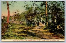 Early 1900s Old Road from Weber Home to Mt. Lake Park, Oakland, MD Postcard picture
