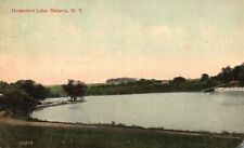Vintage Postcard 1913 View Of Horseshoe Lake Batavia New York NY McGreevy Pub. picture