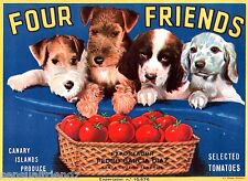 Four Friends Puppy Dogs Tomato Fruit Crate Label Art Print Canary Islands  picture