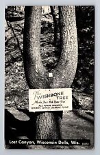 Wisconsin Dells WI-Wisconsin, Wishbone Tree, Lost Canyon, Vintage Postcard picture
