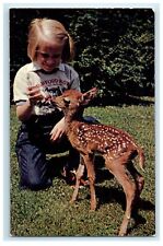 c1950s Girl Feeding Fawn Crawford Notch State Park NH, Wildlife Exhibit Postcard picture