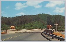 Klamath CA~Klamath River Bridge & Golden Bears US 101~Vintage Postcard picture