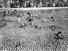 Young swimmers among thousands of oranges in Anaheim California US - Old Photo 1 picture