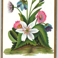 c1890s Lovely Flowers Stock Haddock's Trade Card #107 Scrapbooking No Adv. C35 picture