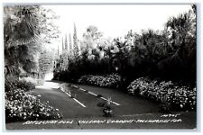 1948 Reflection Pool Killearn Gardens Tallahassee FL RPPC Photo Postcard picture