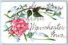 Manchester Iowa IA Postcard Embossed Flower And Leaves Scene c1910's Antique picture