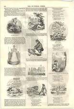 1846 Assortment Of Hoods Comic Annual Drawings picture