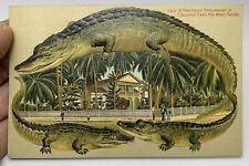 Alligator Border Florida Key West 663 A Residence Embowered in Coconut Trees picture