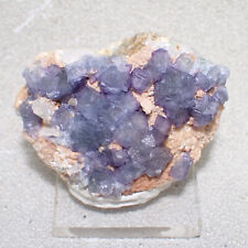 Fluorite, #2 Stoop, Colorado Vein, Sweet Home Mine, Alma, Park County, Colorado picture