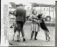 1972 Press Photo German Shepherd in Kennel Club Dog Show in Beaumont, Texas picture