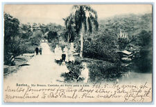 c1905 Rio Branco Way From Porto To Casa Santos Acre Brazil Posted Postcard picture