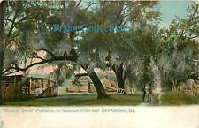 Georgia, GA, Savannah, Mulberry Grove Plantation on Savannah River 1907 Postcard picture