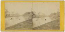OHIO SV - Kenyon - Cattle in Creek - Peter Neff Jr 1860s picture