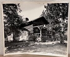 c1930s Cabin At Cedarpines Park CA California B&W 8x10” Photo picture