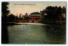1908 Old Grist Mill Lake River Exterior Building Bloomingburg New York Postcard picture