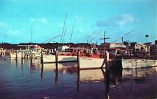 Scene At The Davis Docks At Marathon Florida Keys FL Chrome Vintage Postcard picture