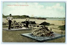 1912 Clambake at Fields Point, Narragansett Bay Providence, RI Postcard picture