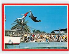 Postcard Playful Porpoises at The Fabulous Miami Seaquarium Florida USA picture