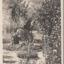 Vintage 1900s RPPC Gethsemane Garden Jerusalem Israel Palestine Postcard picture