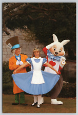 Walt Disney World Epcot Center Lot of 10 Vintage Postcards - Unposted (Lot 9) picture