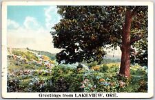 Lakeview Oregon OR, 1921 Greetings, Tree, Greenfield, Flowers, Vintage Postcard picture