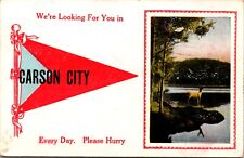 Postcard Pennant Flag Carson City, Michigan Travel Advertising Greetings picture