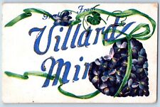Villard Minnesota Postcard Greetings Heart Flowers Glitter 1908 Vintage Unposted picture