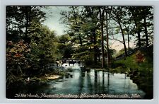 Nazareth MI-Michigan, In The Woods Nazareth Academy, Vintage Postcard picture