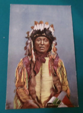 ANTIQUE CHIEF SHOOTING HAWK BY TUCK NATIVE AMERICAN POSTCARD NATIVE DRESS picture