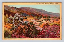 Cholla Cactus And Desert Flowers, Antique, Vintage Souvenir Postcard picture