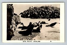 RPPC-Catalina CA-California, Seal Rocks RPPC Vintage Souvenir Postcard picture